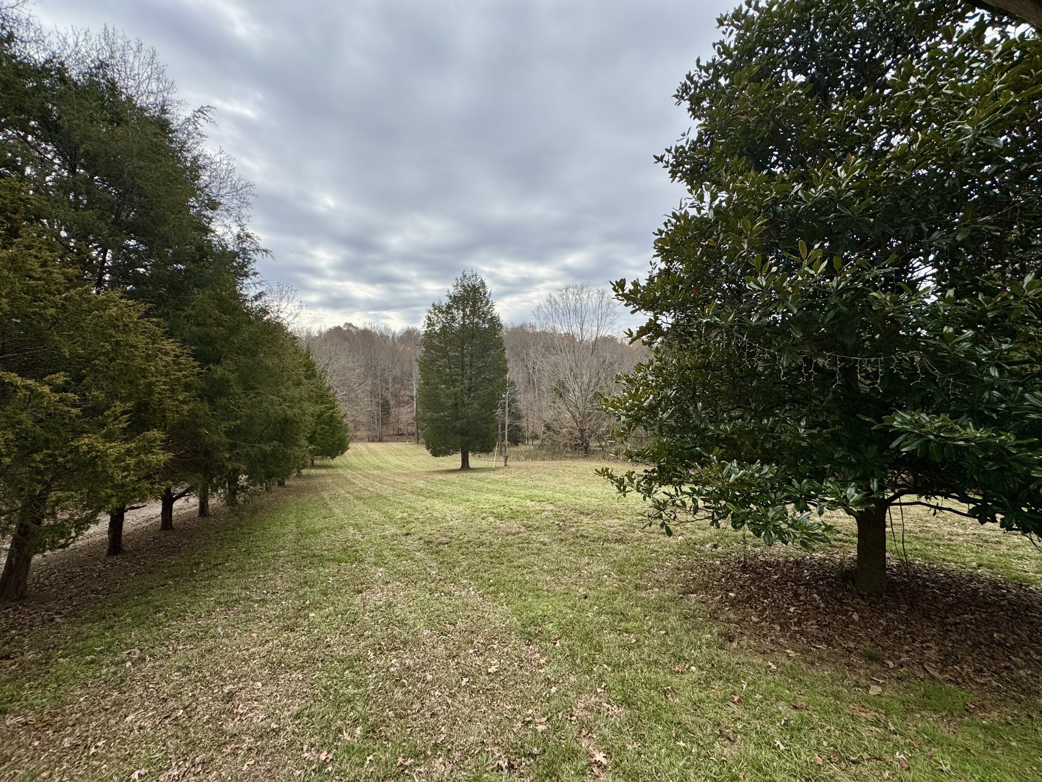 1411 Stoney Point Road Vanleer, TN 37181 - Photo 13 of 13 Gallery Image 13