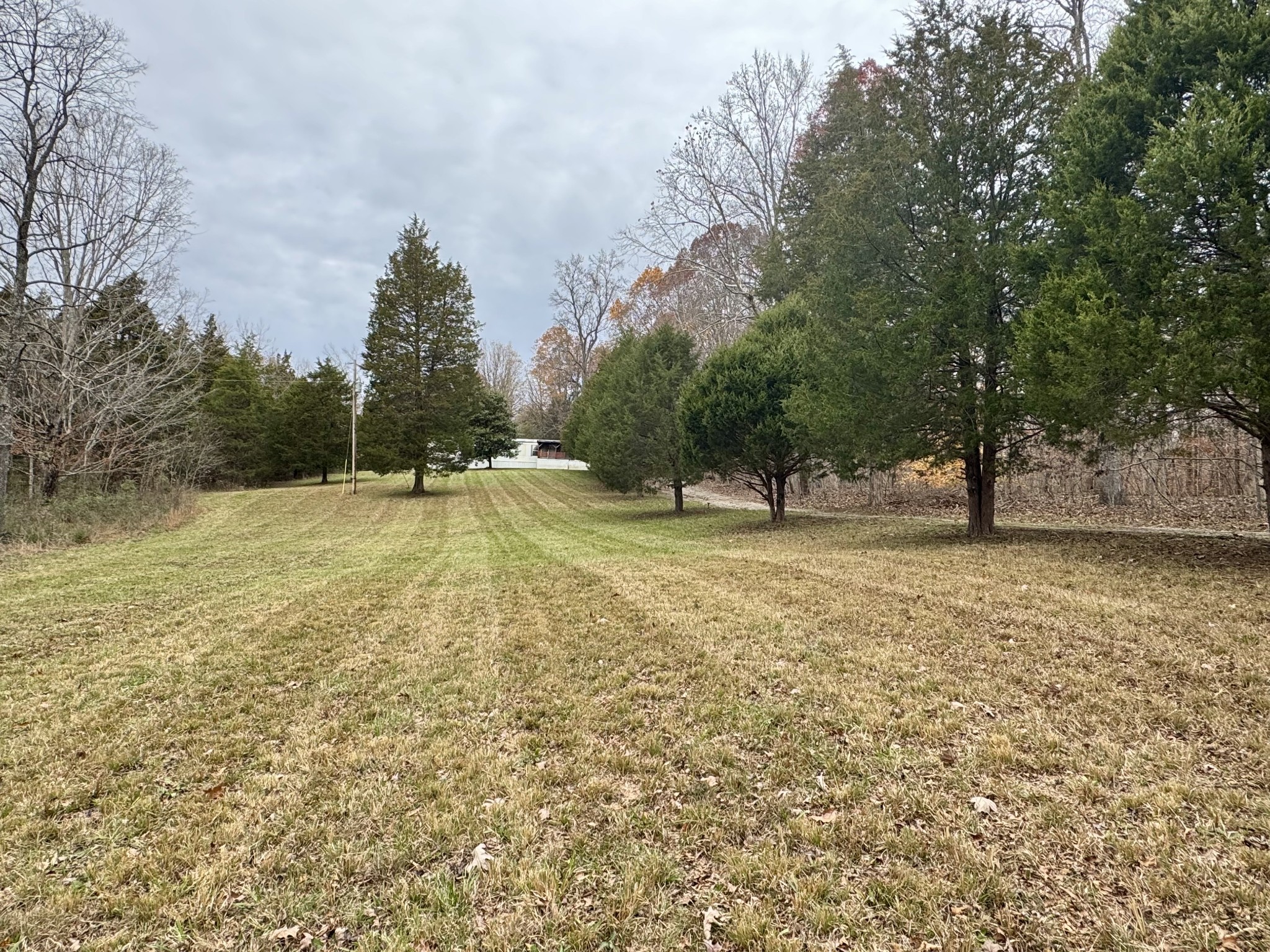 1411 Stoney Point Road Vanleer, TN 37181 - Photo 2 of 13 Gallery Image 2
