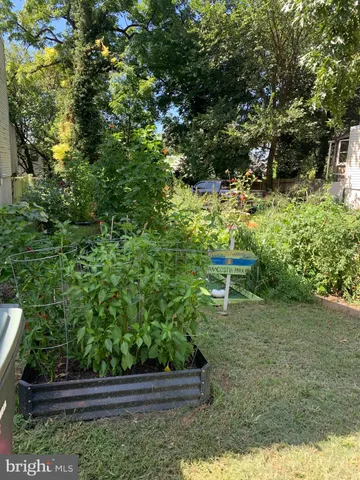 a view of a garden with a bench
