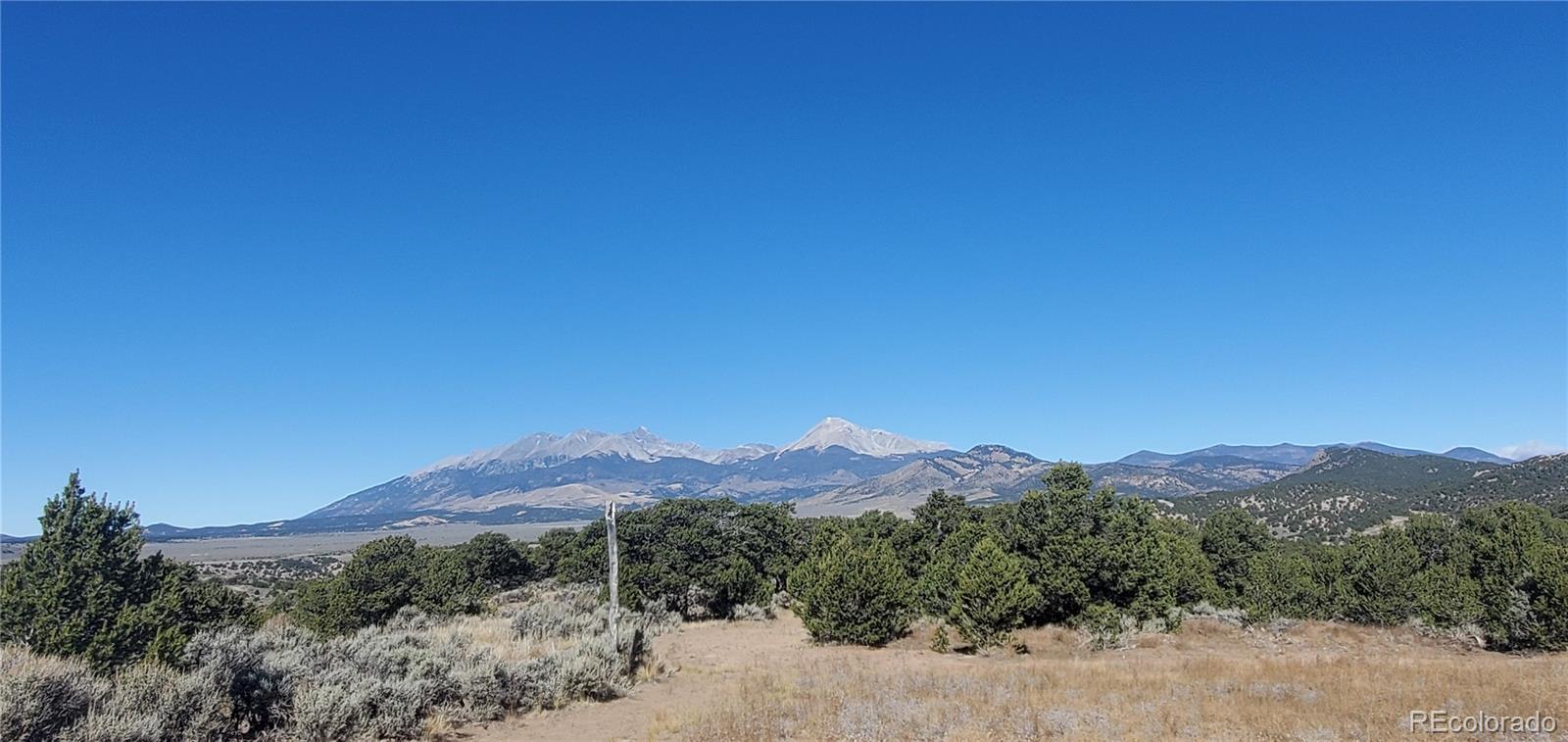 Lot 7356 Bidwell Road Fort Garland, CO 81133 - Photo 11 of 23 a view of a forest with a mountain