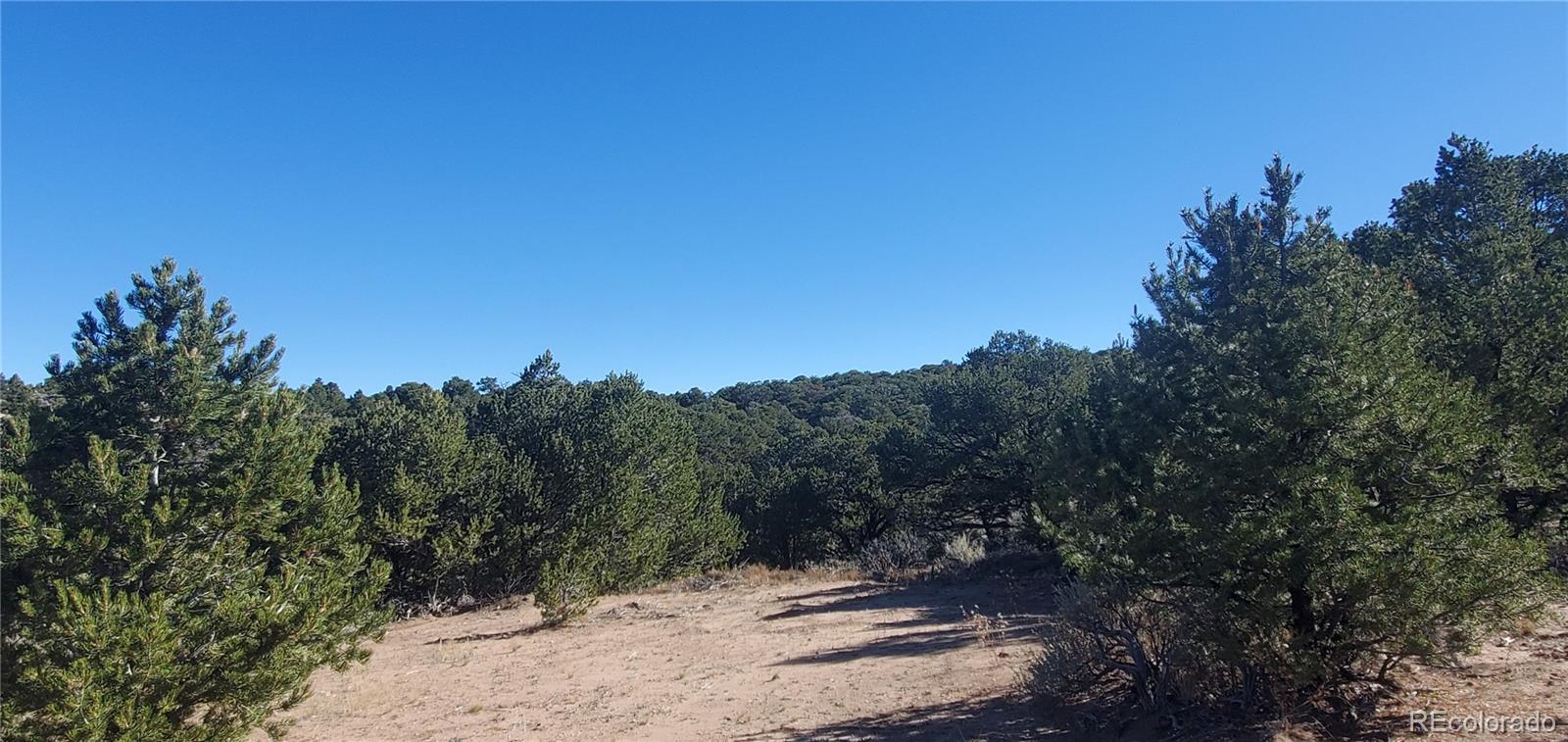 Lot 7356 Bidwell Road Fort Garland, CO 81133 - Photo 16 of 23 a view of outdoor space and yard