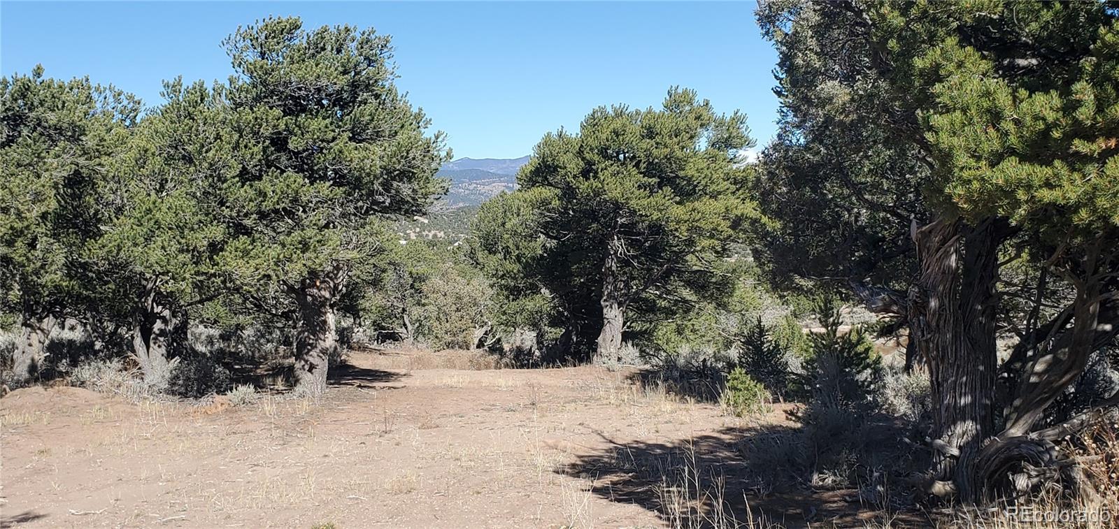 Lot 7356 Bidwell Road Fort Garland, CO 81133 - Photo 20 of 23 a view of a yard with a tree
