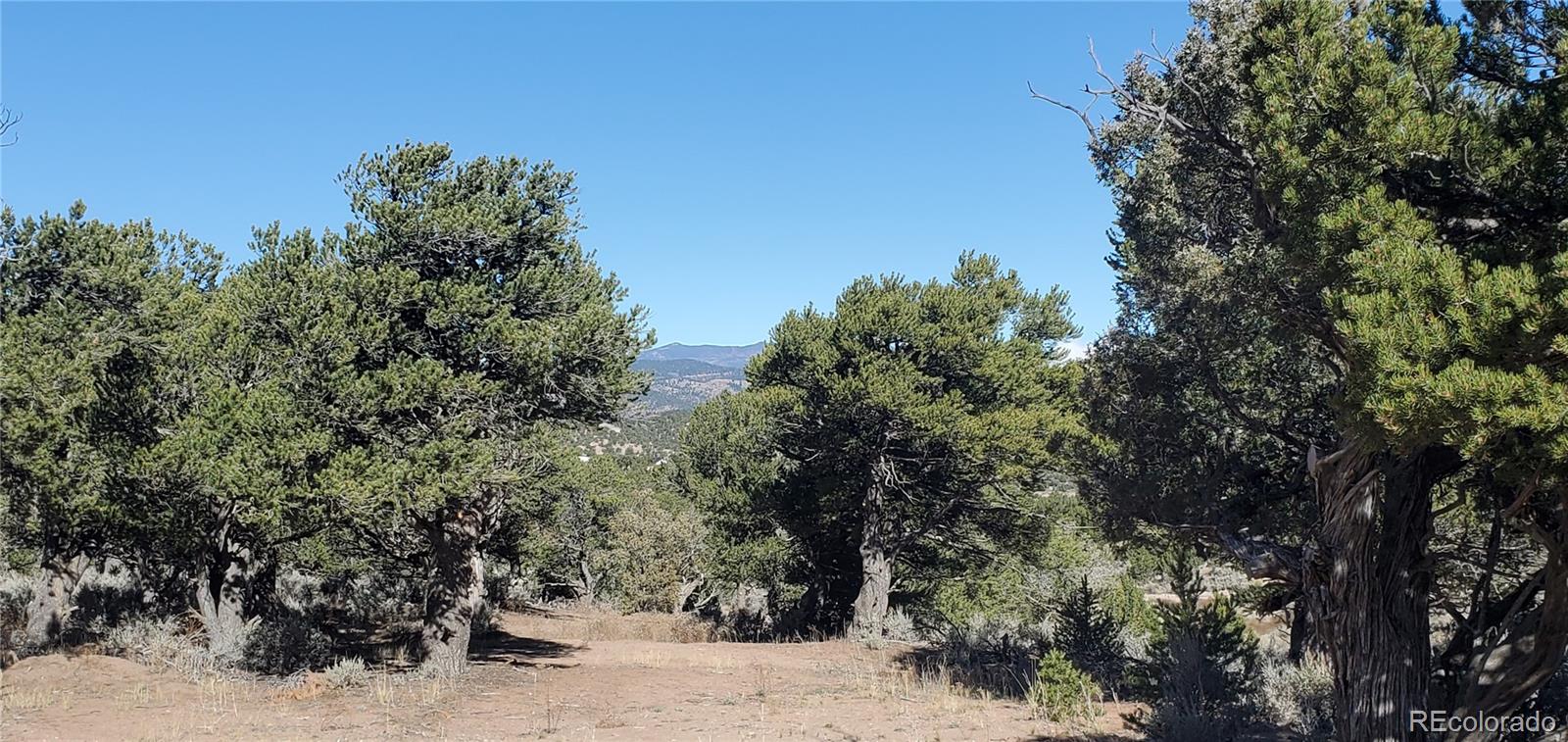 Lot 7356 Bidwell Road Fort Garland, CO 81133 - Photo 21 of 23 a view of a forest with trees in the background