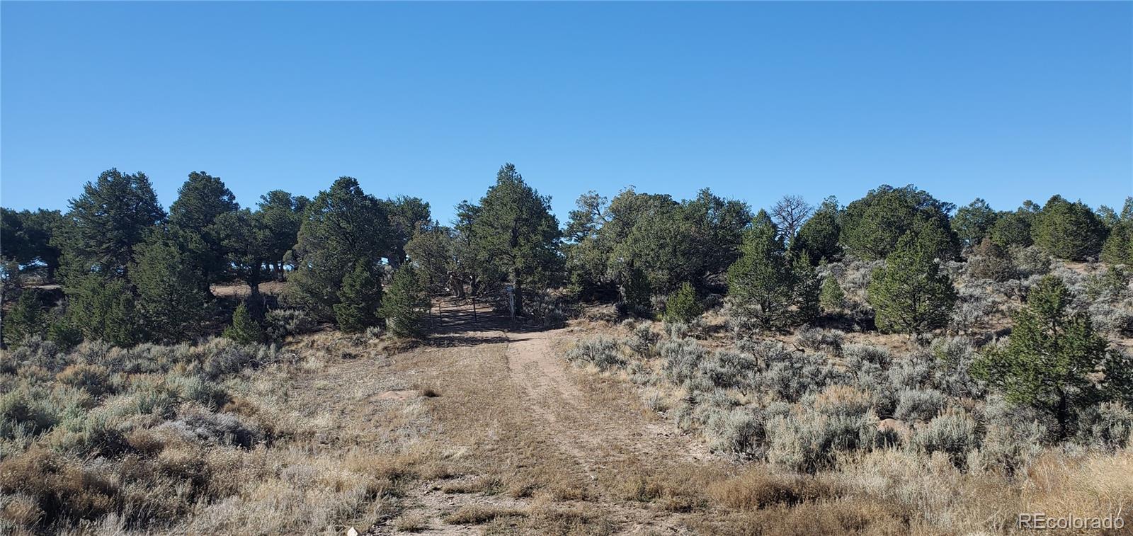 Lot 7356 Bidwell Road Fort Garland, CO 81133 - Photo 6 of 23 a view of a dry yard with trees