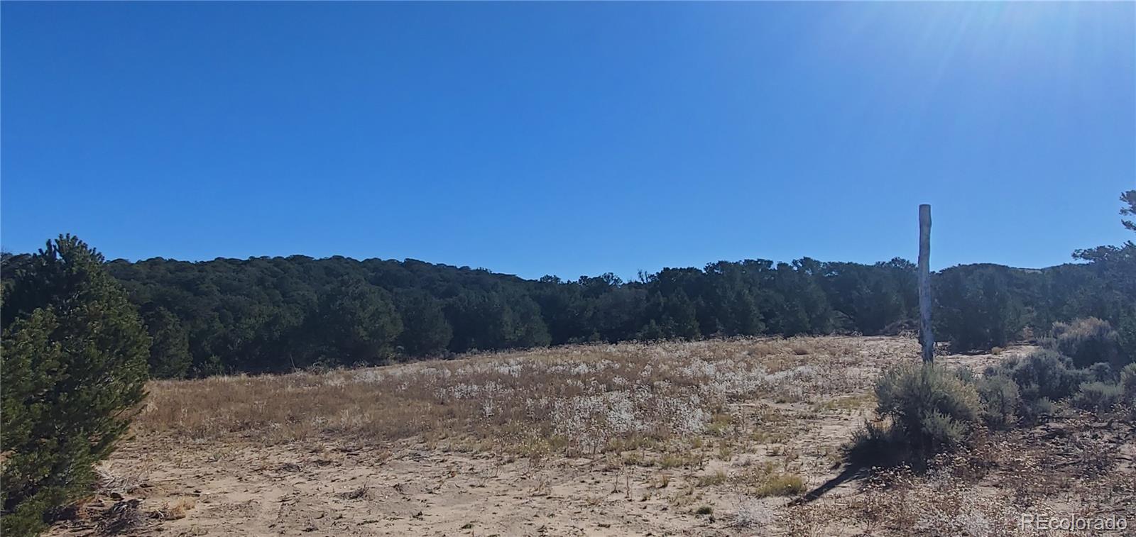 Lot 7356 Bidwell Road Fort Garland, CO 81133 - Photo 8 of 23 a view of a backyard