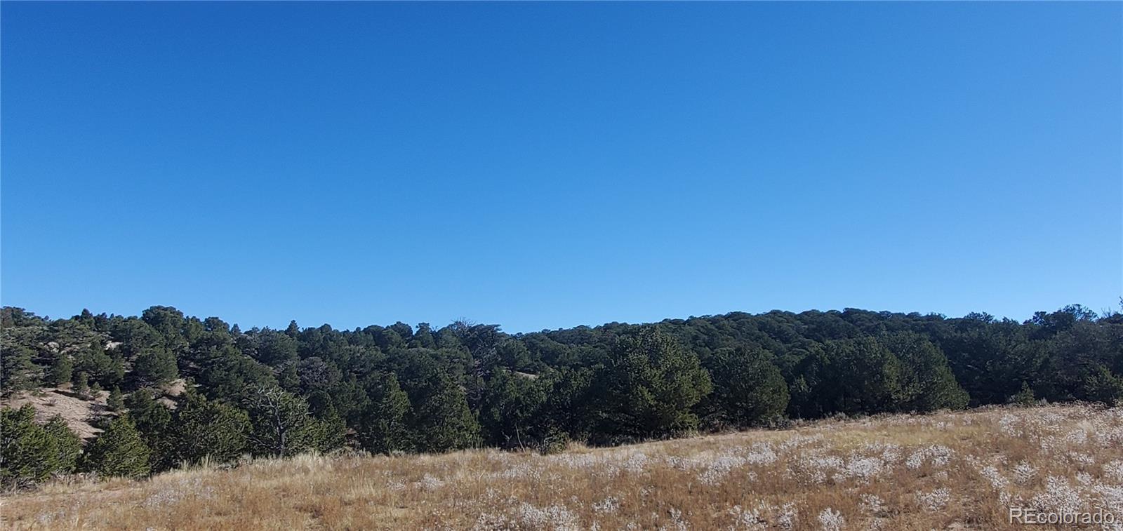 Lot 7356 Bidwell Road Fort Garland, CO 81133 - Photo 10 of 23 a view of a backyard