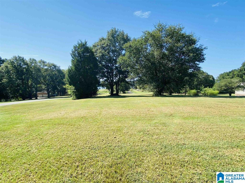 Carleton Point Lane, Unit 3 Wilsonville, AL 35186 - Photo 9 of 10