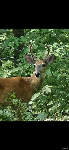 $200,000 | 1855 Rock Springs Road, Wright City, MO 63390