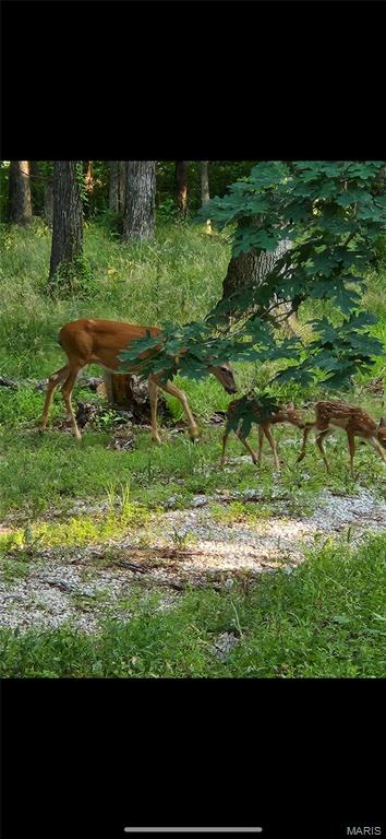 1855 Rock Springs Road Wright City, MO 63390 - Photo 2 of 4