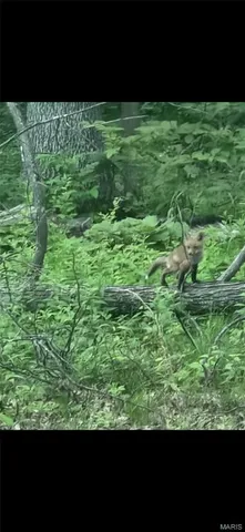 $200,000 | 1855 Rock Springs Road, Wright City, MO 63390