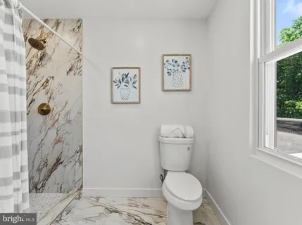 a white toilet sitting next to a shower curtain