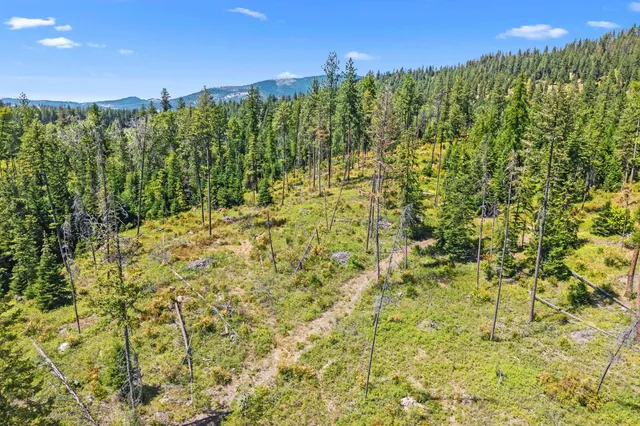 $200,000 | Nna Dry Creek Road, Unit LOT 2, Chewelah, WA 99109