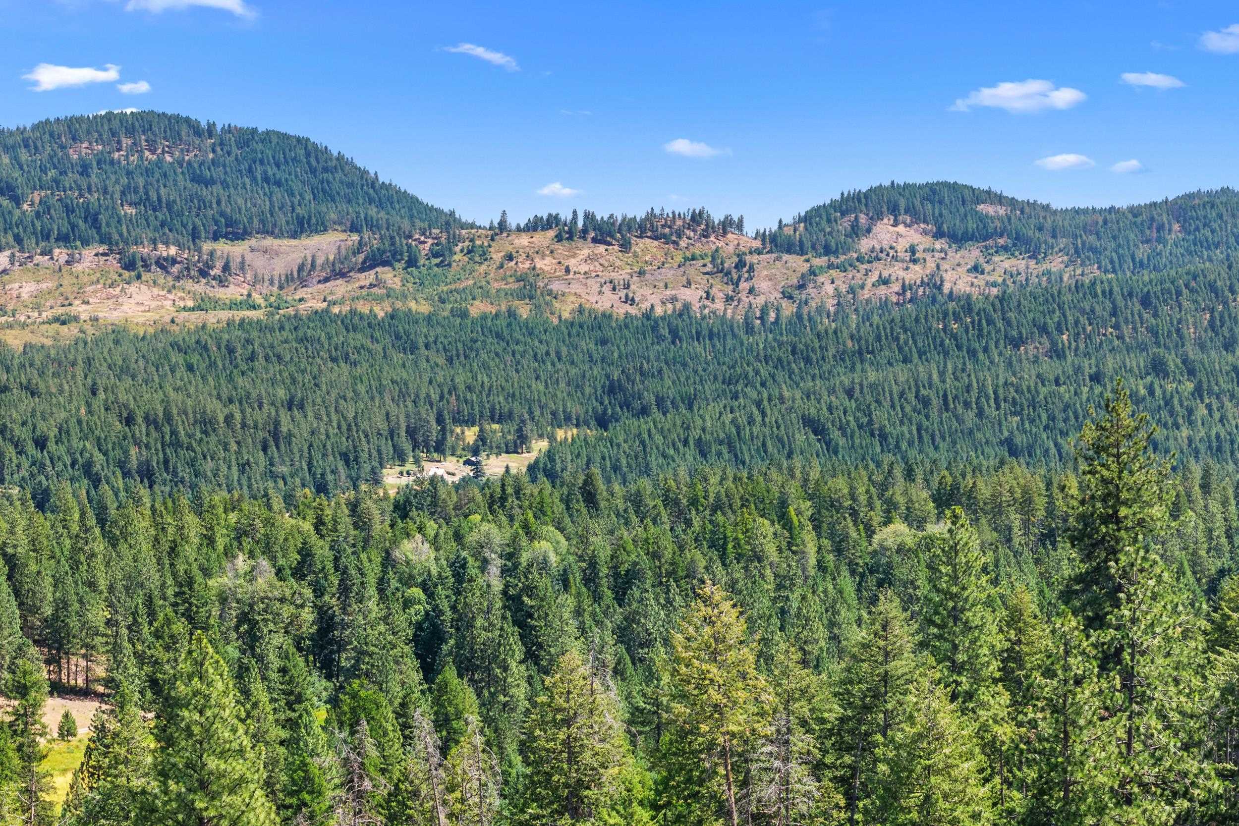 Nna Dry Creek Road, Unit LOT 2 Chewelah, WA 99109 - Photo 14 of 26