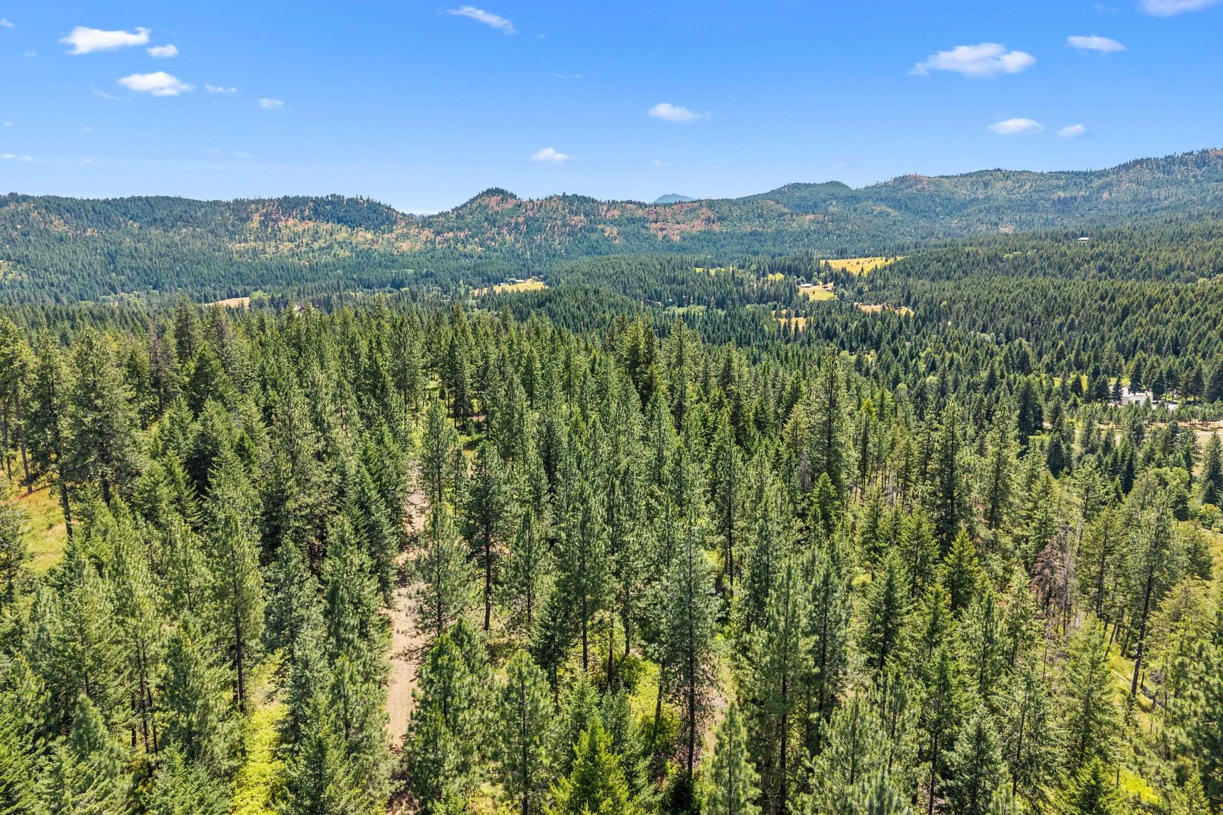 Nna Dry Creek Road, Unit LOT 2 Chewelah, WA 99109 - Photo 15 of 26