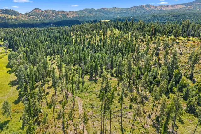 $200,000 | Nna Dry Creek Road, Unit LOT 2, Chewelah, WA 99109