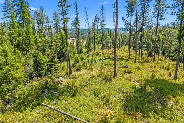 $200,000 | Nna Dry Creek Road, Unit LOT 2, Chewelah, WA 99109