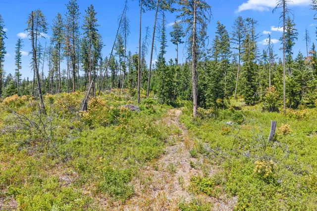 $200,000 | Nna Dry Creek Road, Unit LOT 2, Chewelah, WA 99109