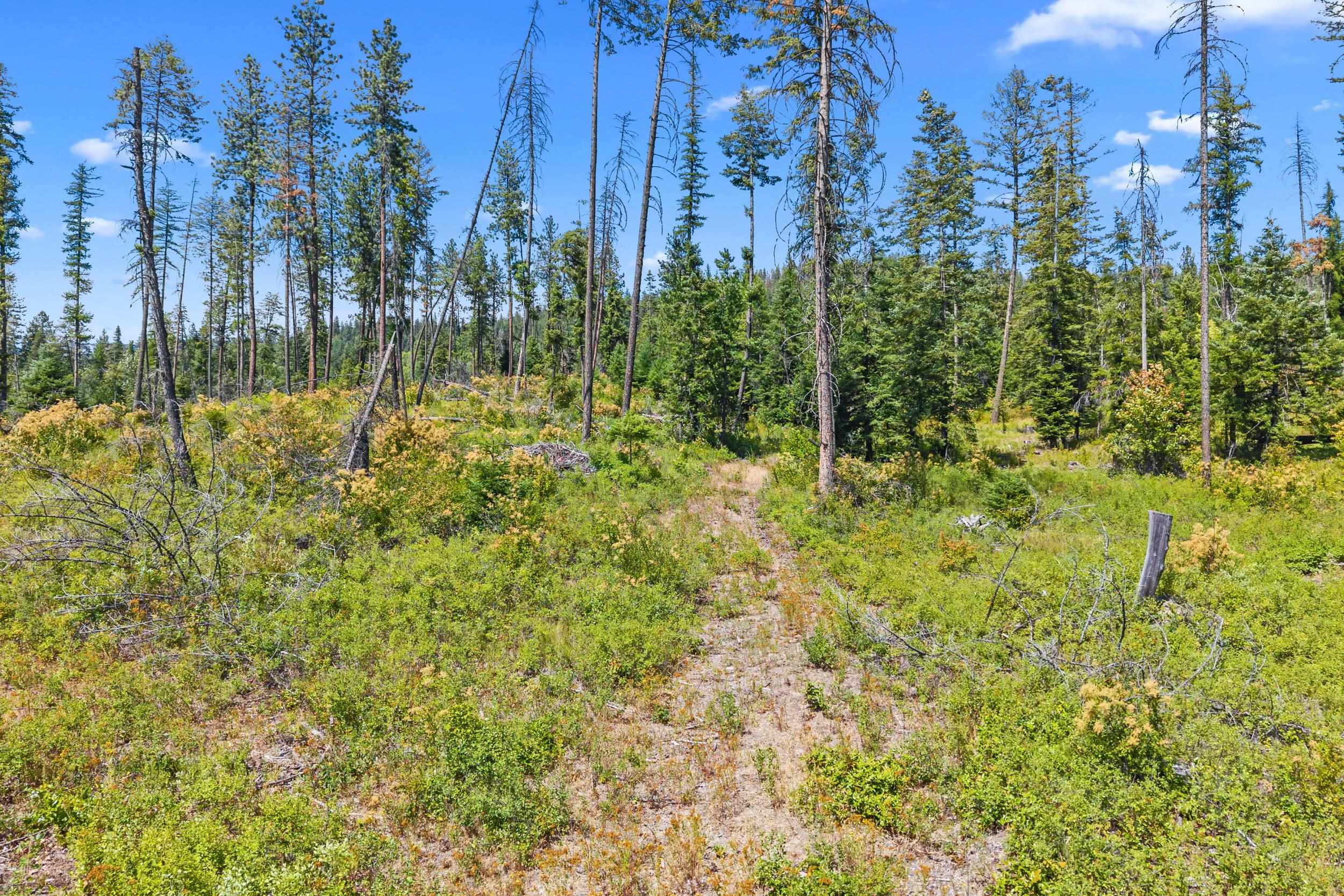 Nna Dry Creek Road, Unit LOT 2 Chewelah, WA 99109 - Photo 18 of 26