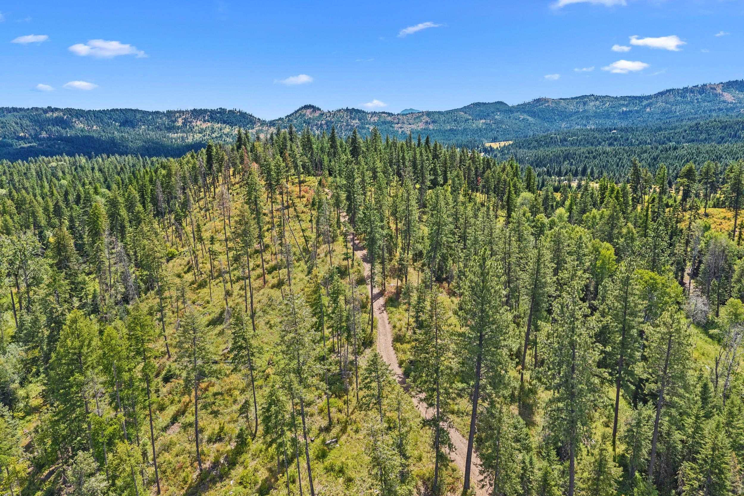 Nna Dry Creek Road, Unit LOT 2 Chewelah, WA 99109 - Photo 19 of 26