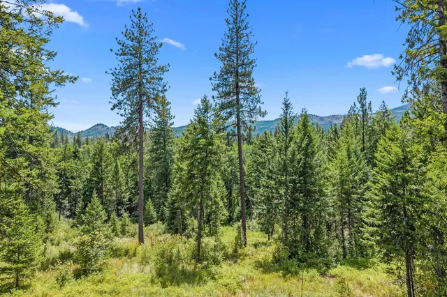 $200,000 | Nna Dry Creek Road, Unit LOT 2, Chewelah, WA 99109