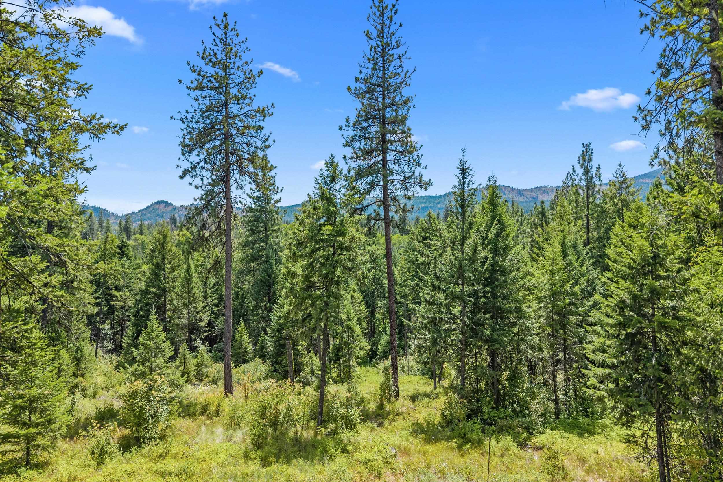 Nna Dry Creek Road, Unit LOT 2 Chewelah, WA 99109 - Photo 21 of 26