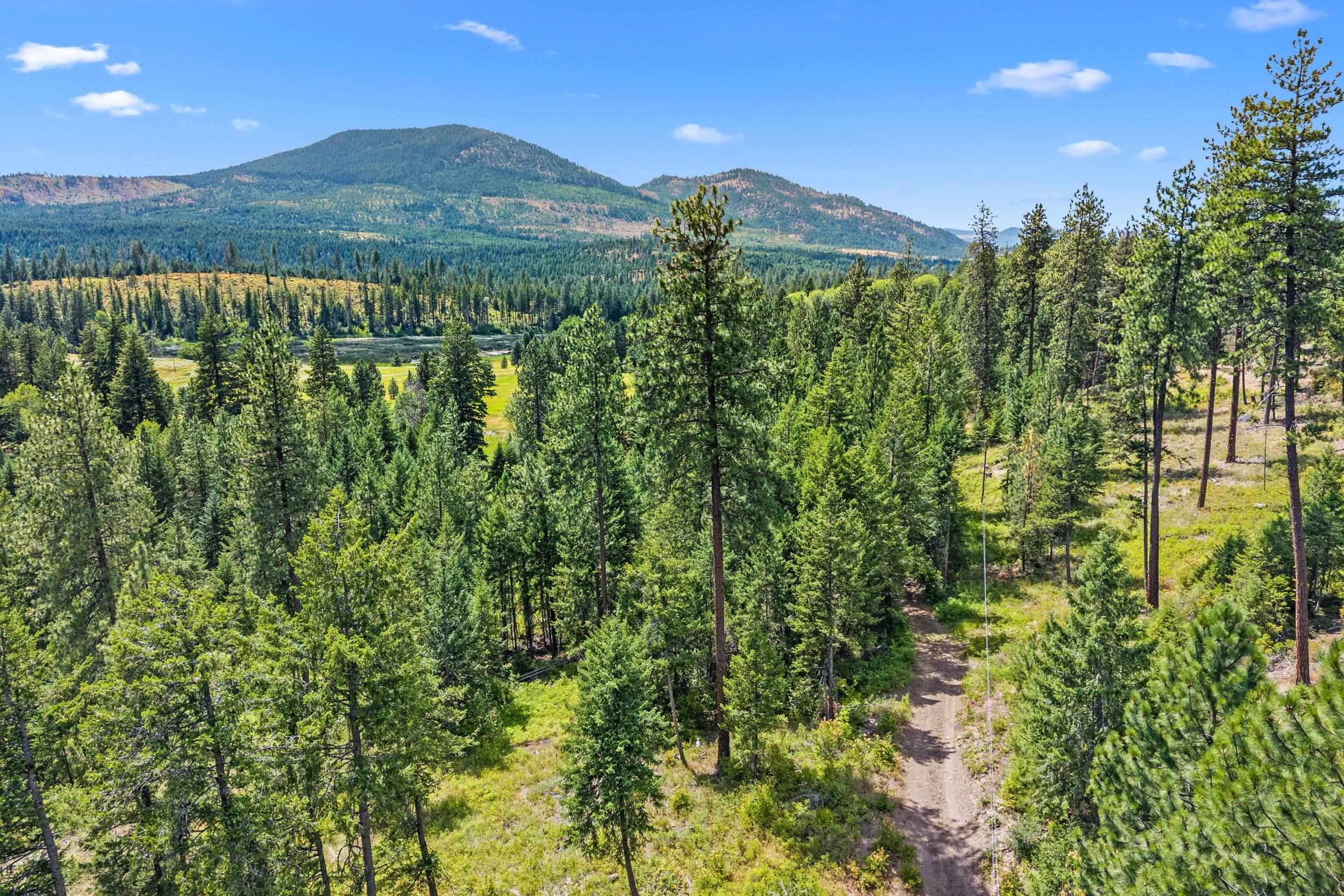 Nna Dry Creek Road, Unit LOT 2 Chewelah, WA 99109 - Photo 22 of 26