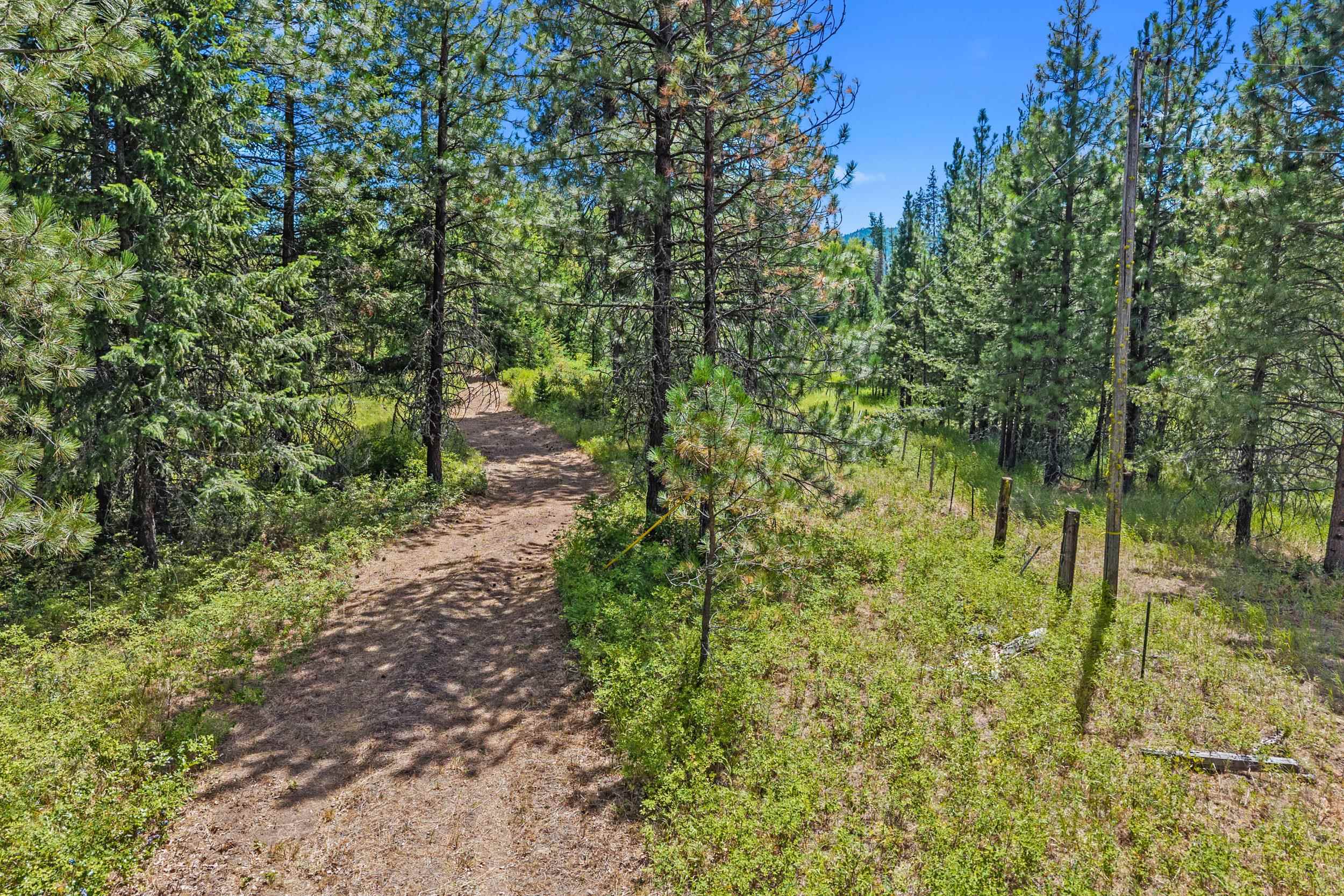 Nna Dry Creek Road, Unit LOT 2 Chewelah, WA 99109 - Photo 3 of 26