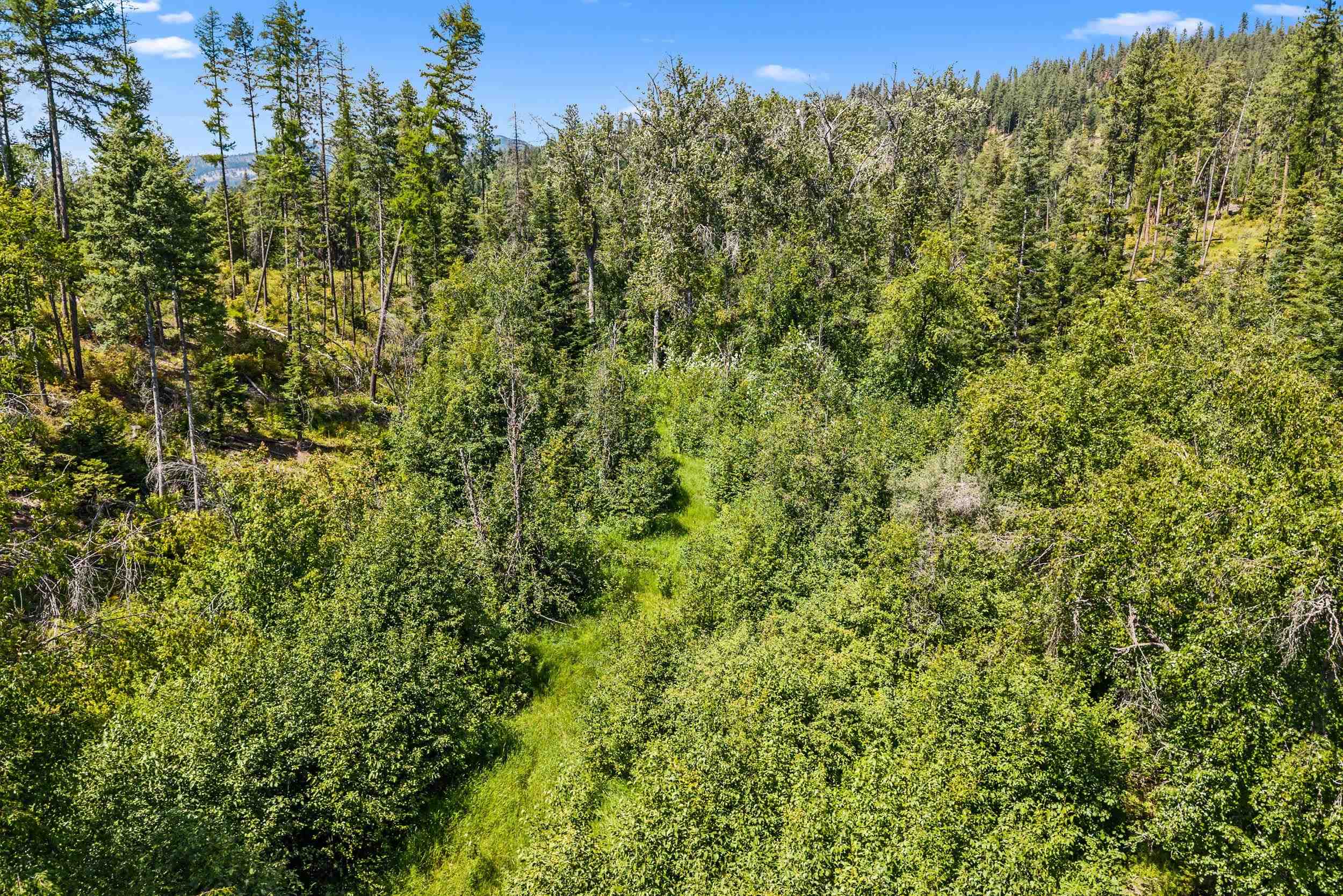 Nna Dry Creek Road, Unit LOT 2 Chewelah, WA 99109 - Photo 9 of 26