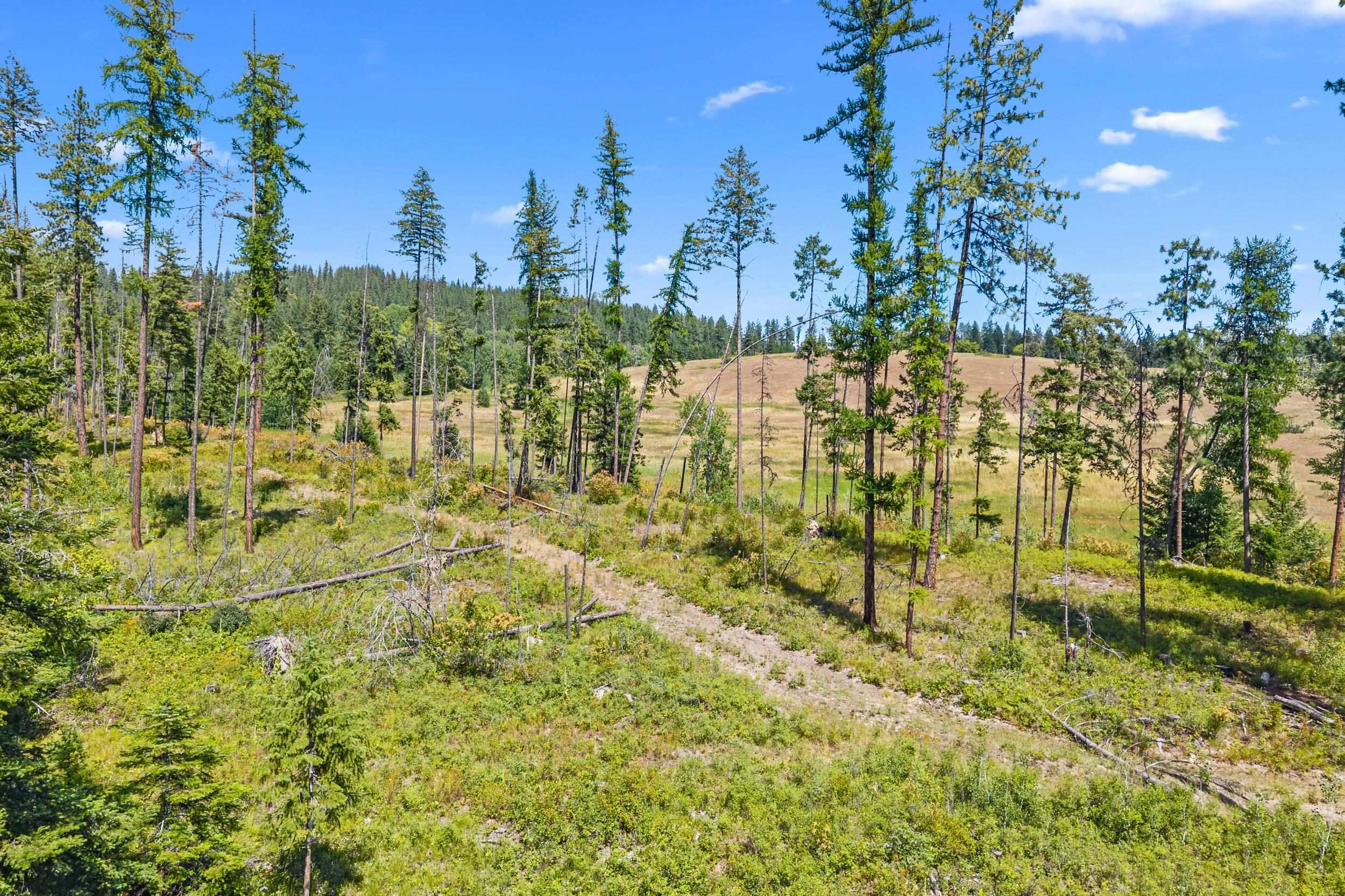 Nna Dry Creek Road, Unit LOT 2 Chewelah, WA 99109 - Photo 10 of 26