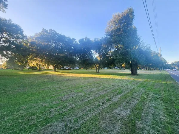 a view of yard with green space