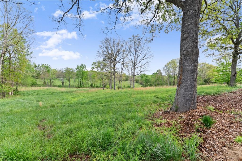 4841 Cobb Griffin Road Gillsville, GA 30543 - Photo 72 of 94