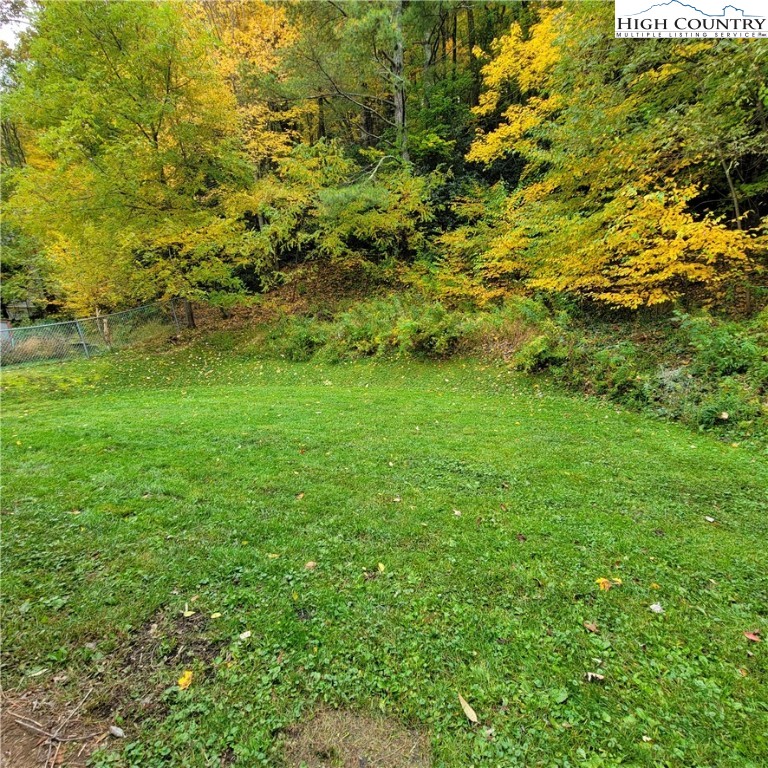 151 Rogers Drive Boone, NC 28607 - Photo 2 of 15 a view of a big yard with plants and large trees