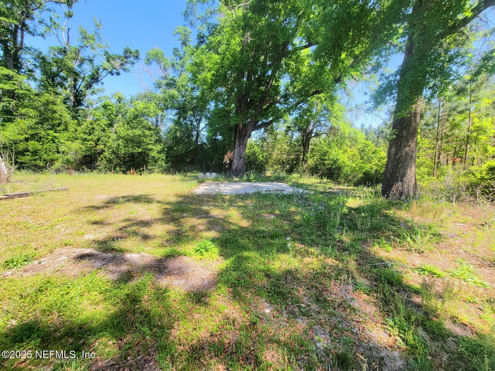 16990 County Road 252 Live Oak, FL 32060 - Photo 23 of 26 2025-04-11-13-47-13-822