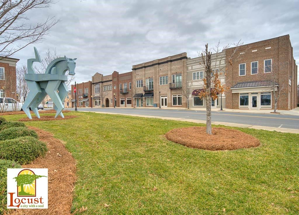 277 Harrison Lane Locust, NC 28097 - Photo 22 of 25 a front view of a building with garden and trees