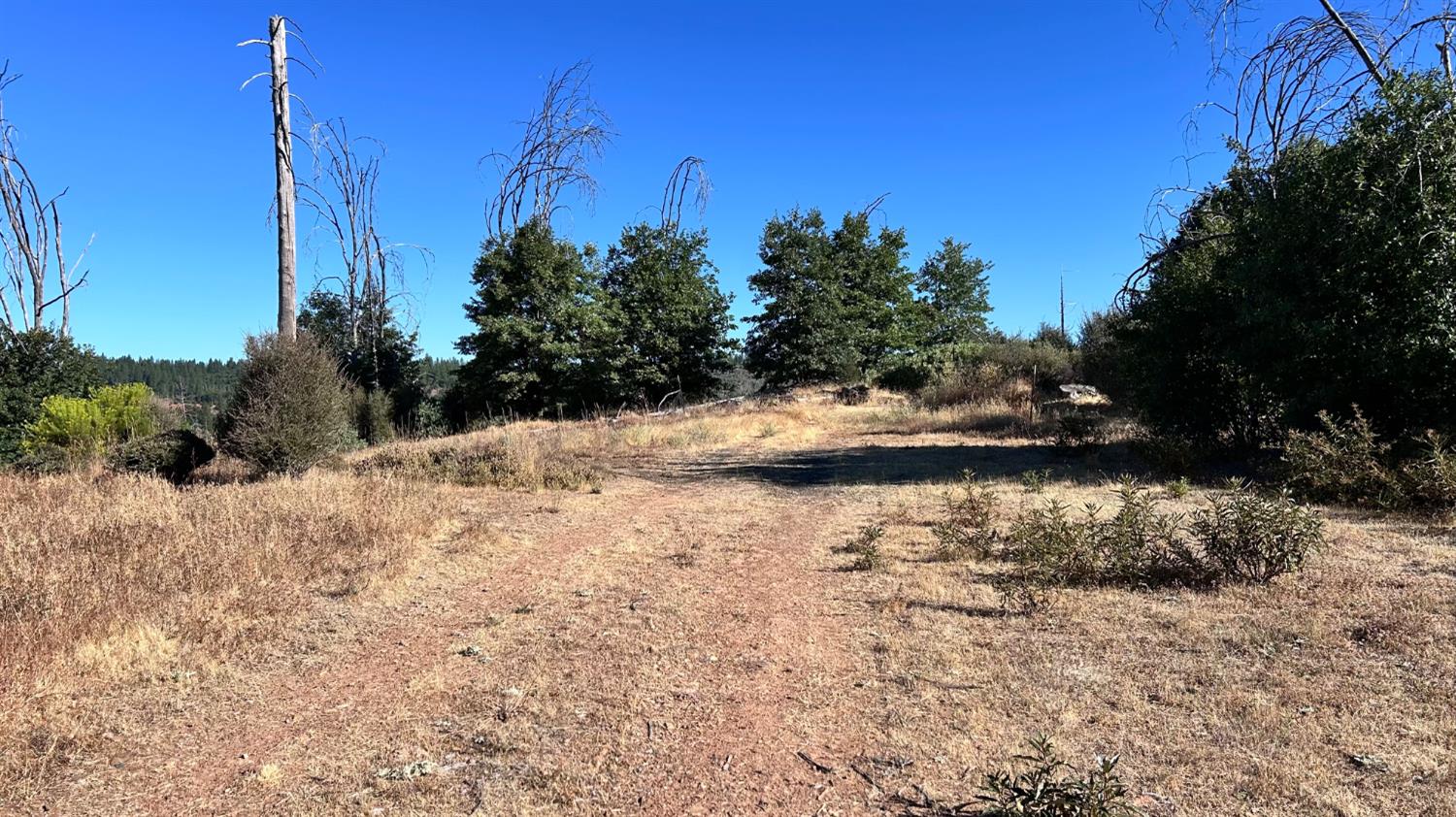 6028 Railroad Flat Road Mountain Ranch, CA 95246 - Photo 4 of 5