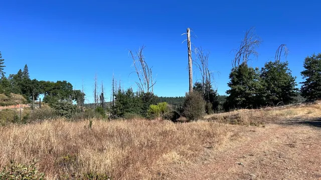 $50,000 | 6028 Railroad Flat Road, Mountain Ranch, CA 95246