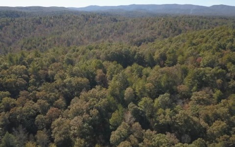 Mountaintown Road Ellijay, GA 30540 - Photo 3 of 4 Additional View