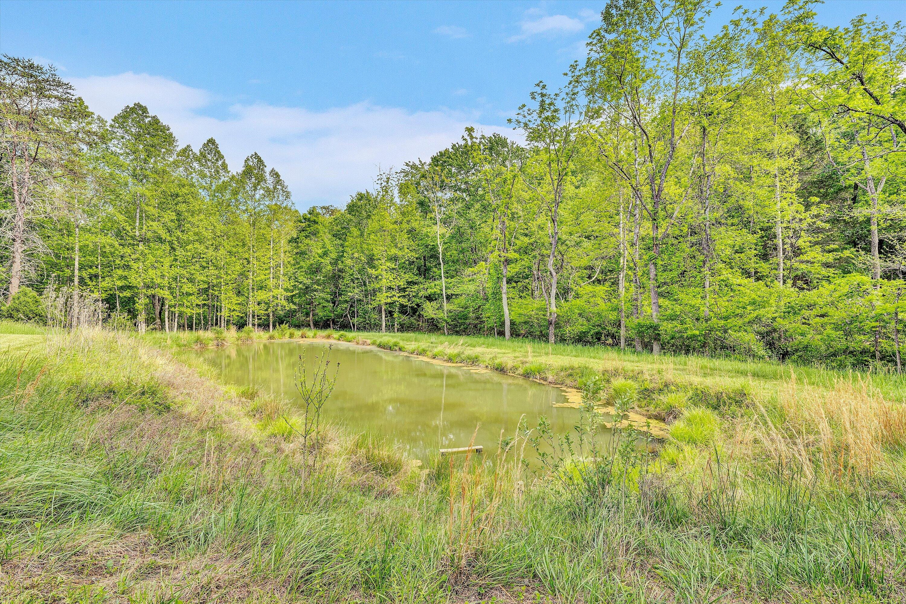 2296 Sandy Level Road Goodview, VA 24095 - Photo 42 of 48 a view of swimming pool from a yard