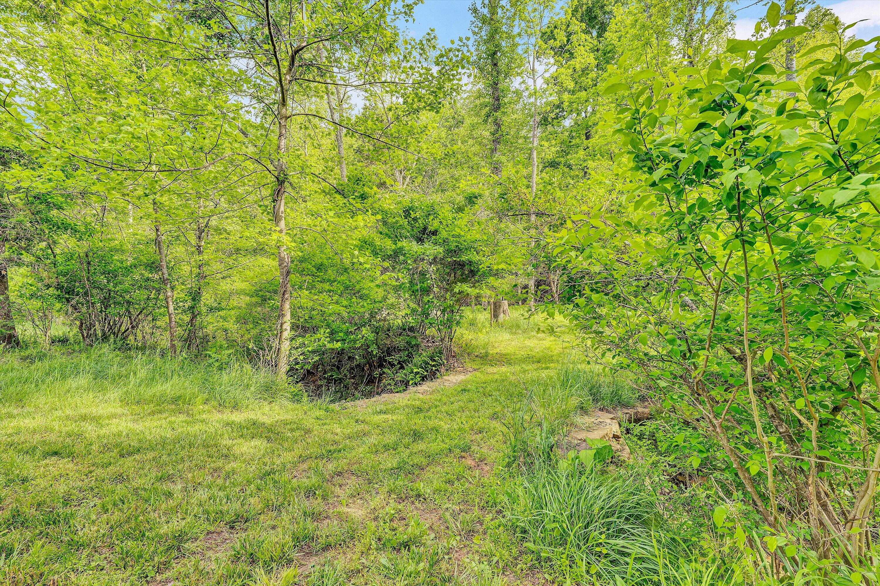 2296 Sandy Level Road Goodview, VA 24095 - Photo 44 of 48 a view of a lush green space