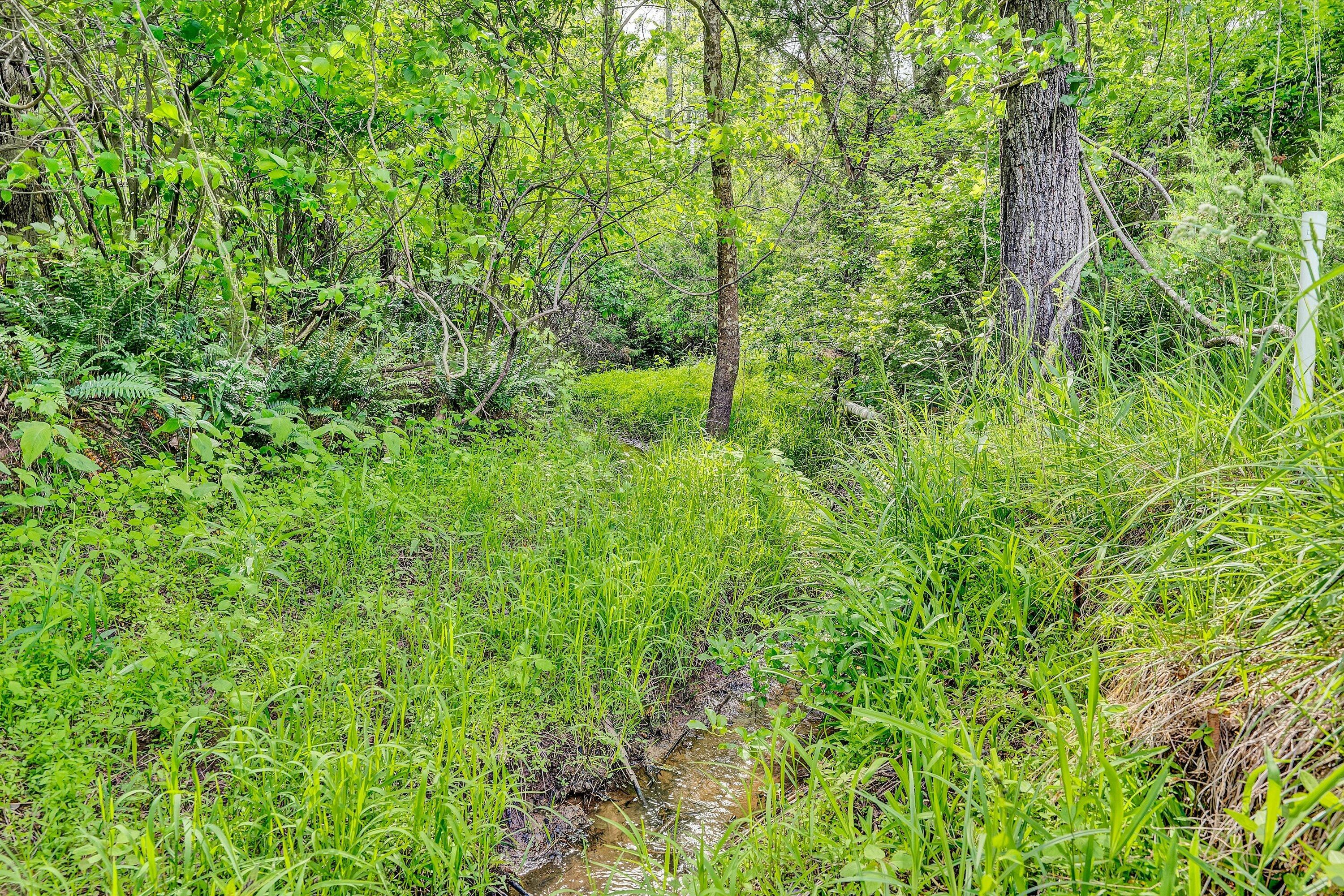 2296 Sandy Level Road Goodview, VA 24095 - Photo 45 of 48 a view of a lush green forest
