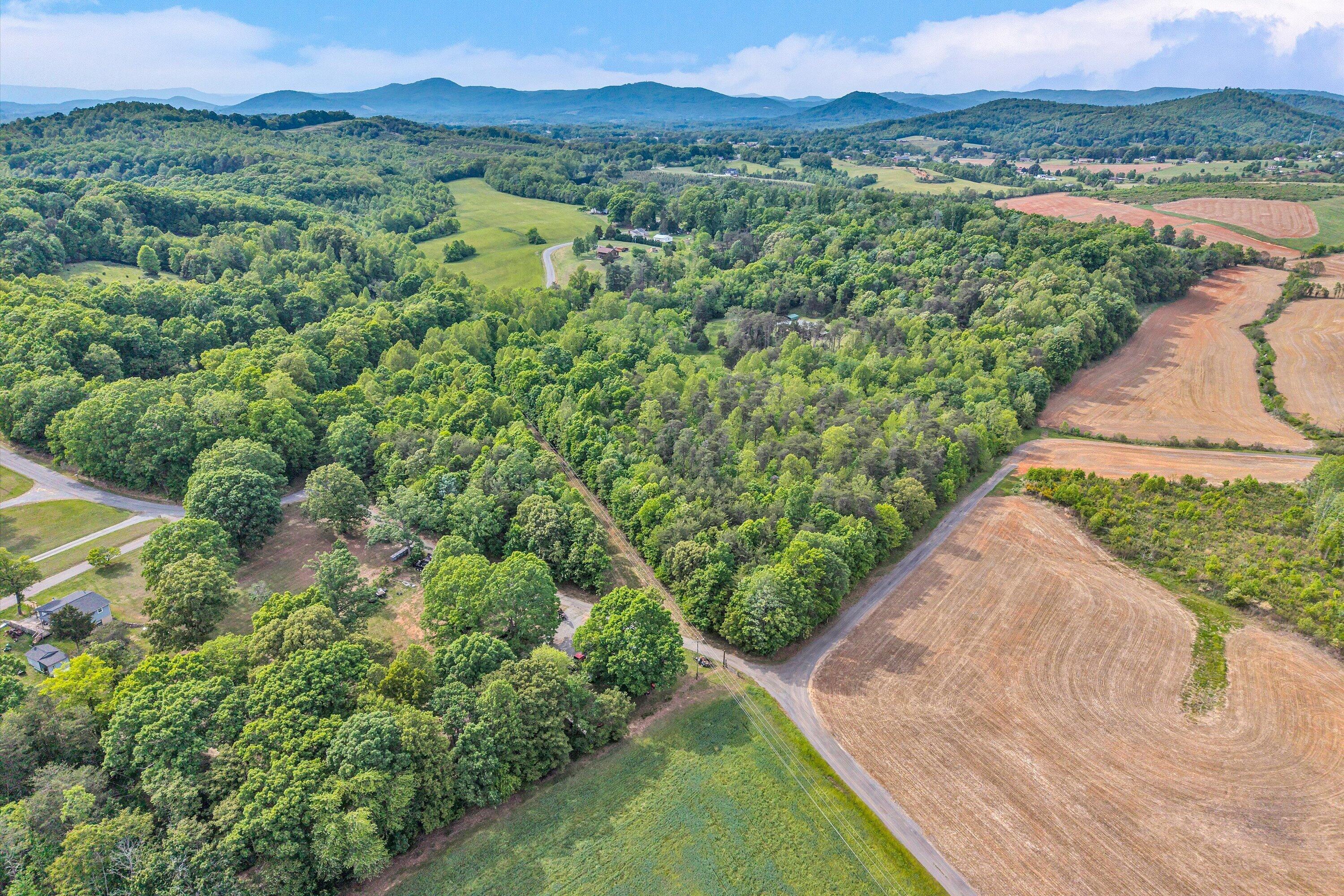 2296 Sandy Level Road Goodview, VA 24095 - Photo 46 of 48 a view of a lush green field with mountains in the background