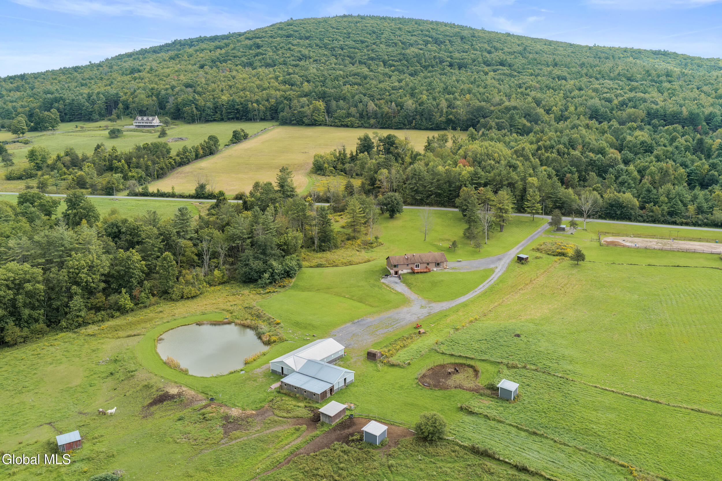 285 Gridley Road Middleburgh, NY 12122 - Photo 54 of 65 56_dji_20260904010326_0064_d
