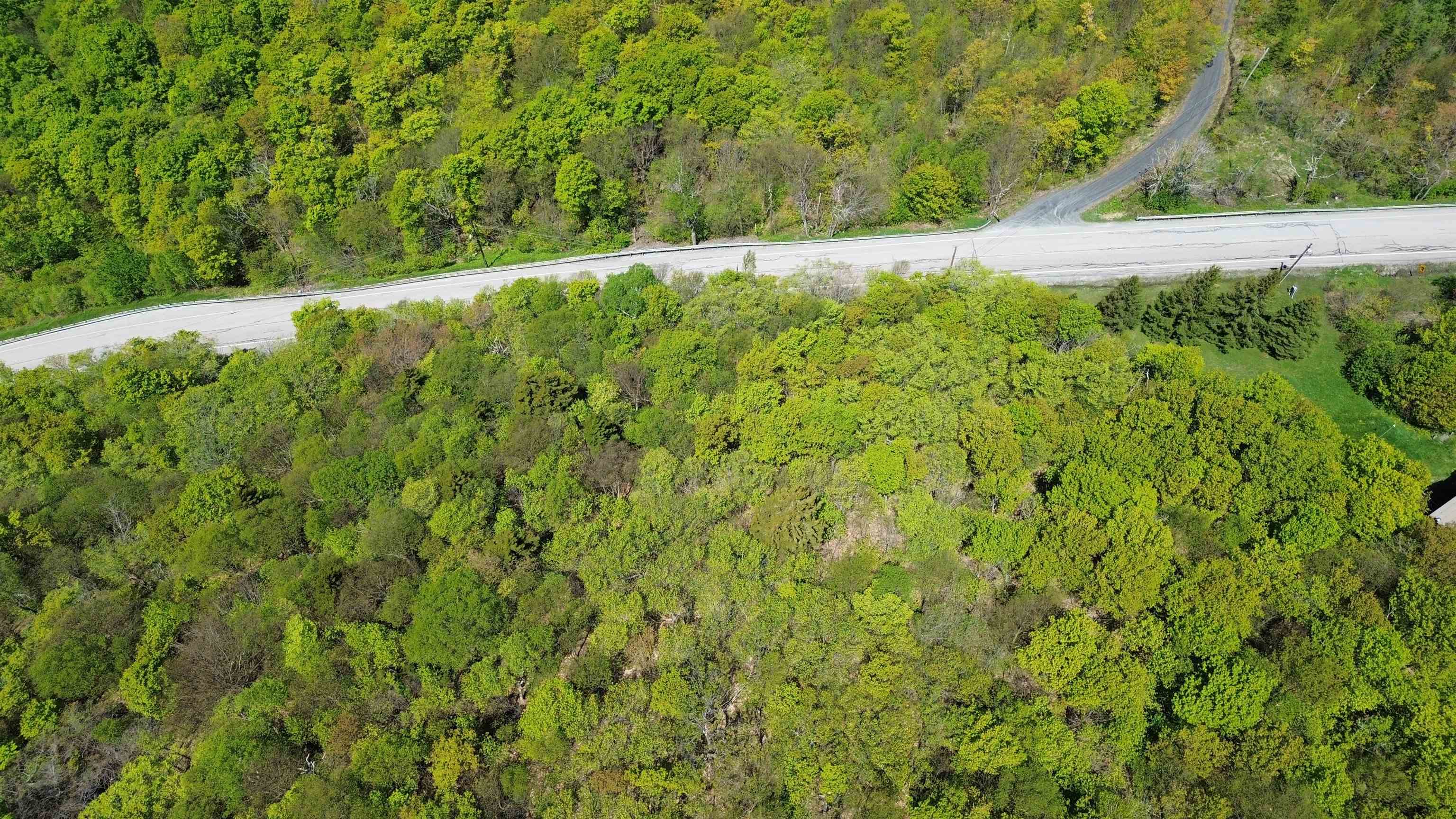2016 Roxbury Mountain Road Warren, VT 05674 - Photo 15 of 18