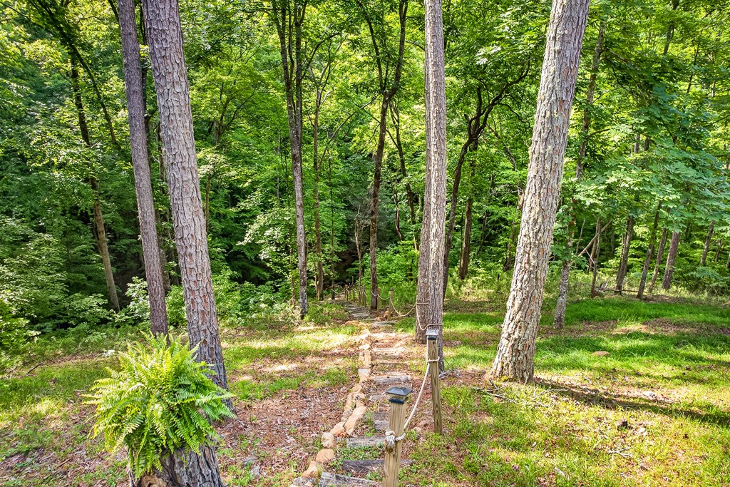 285 Julep Circle Ellijay, GA 30540 - Photo 46 of 56