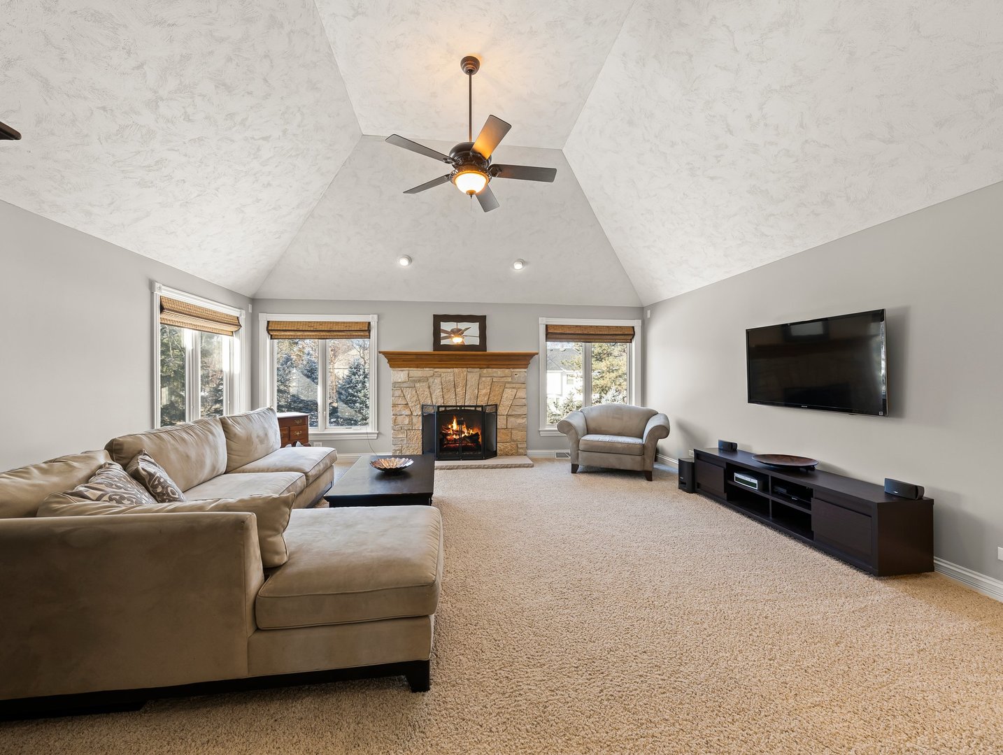 63 Mitchell Circle Wheaton, IL 60189 - Photo 33 of 54 a living room with furniture and a flat screen tv