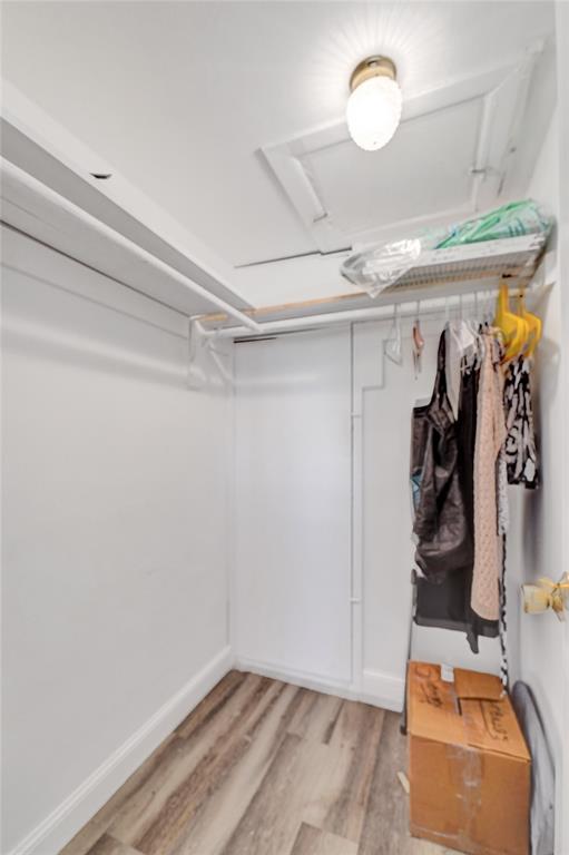2751 East Golf Boulevard, Unit 2019 Pompano Beach, FL 33064 - Photo 63 of 68 a view of walk in closet with clothes and shoes
