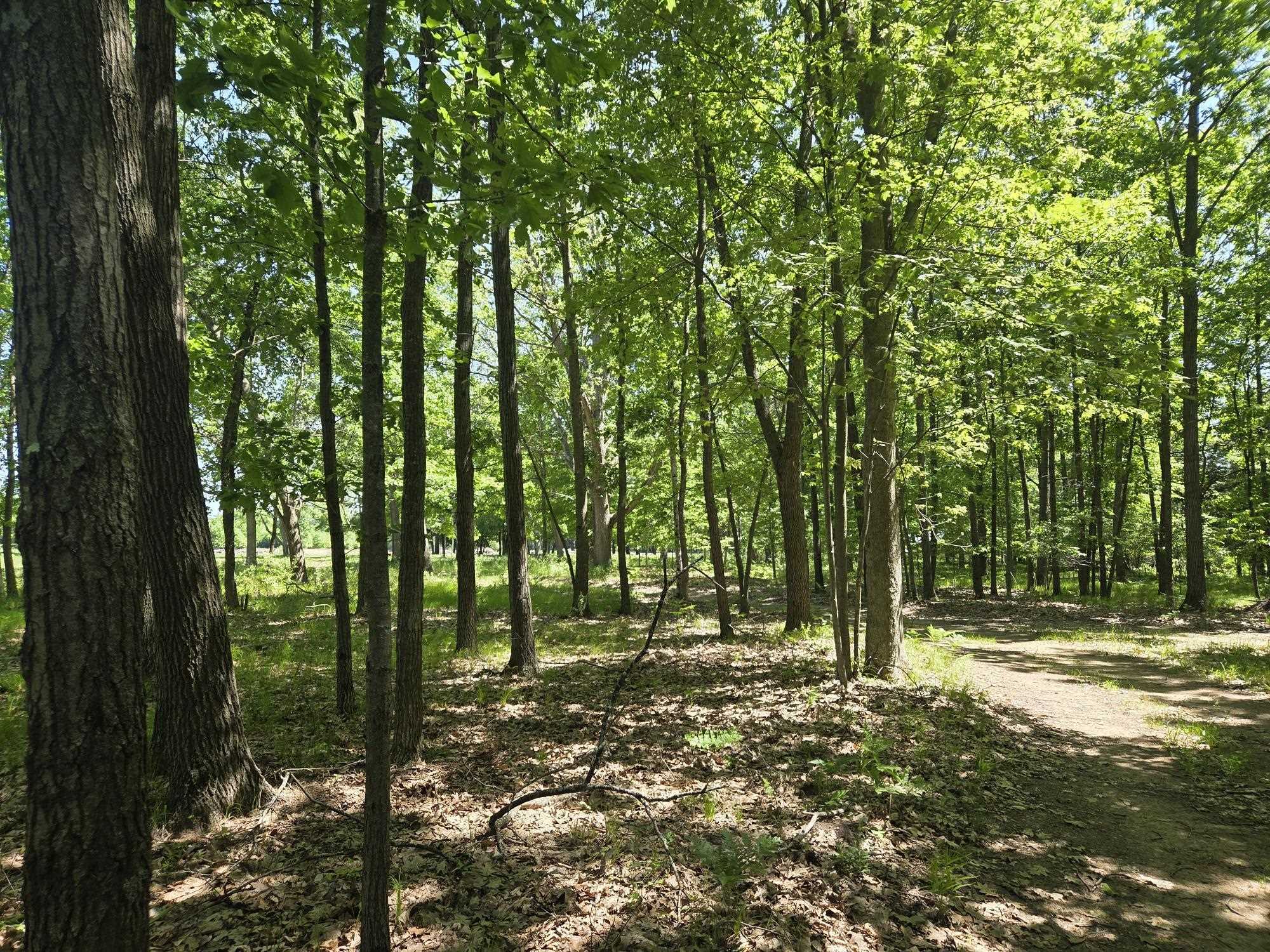 5172 West Pickard Road Mount Pleasant, MI 48858 - Photo 23 of 23