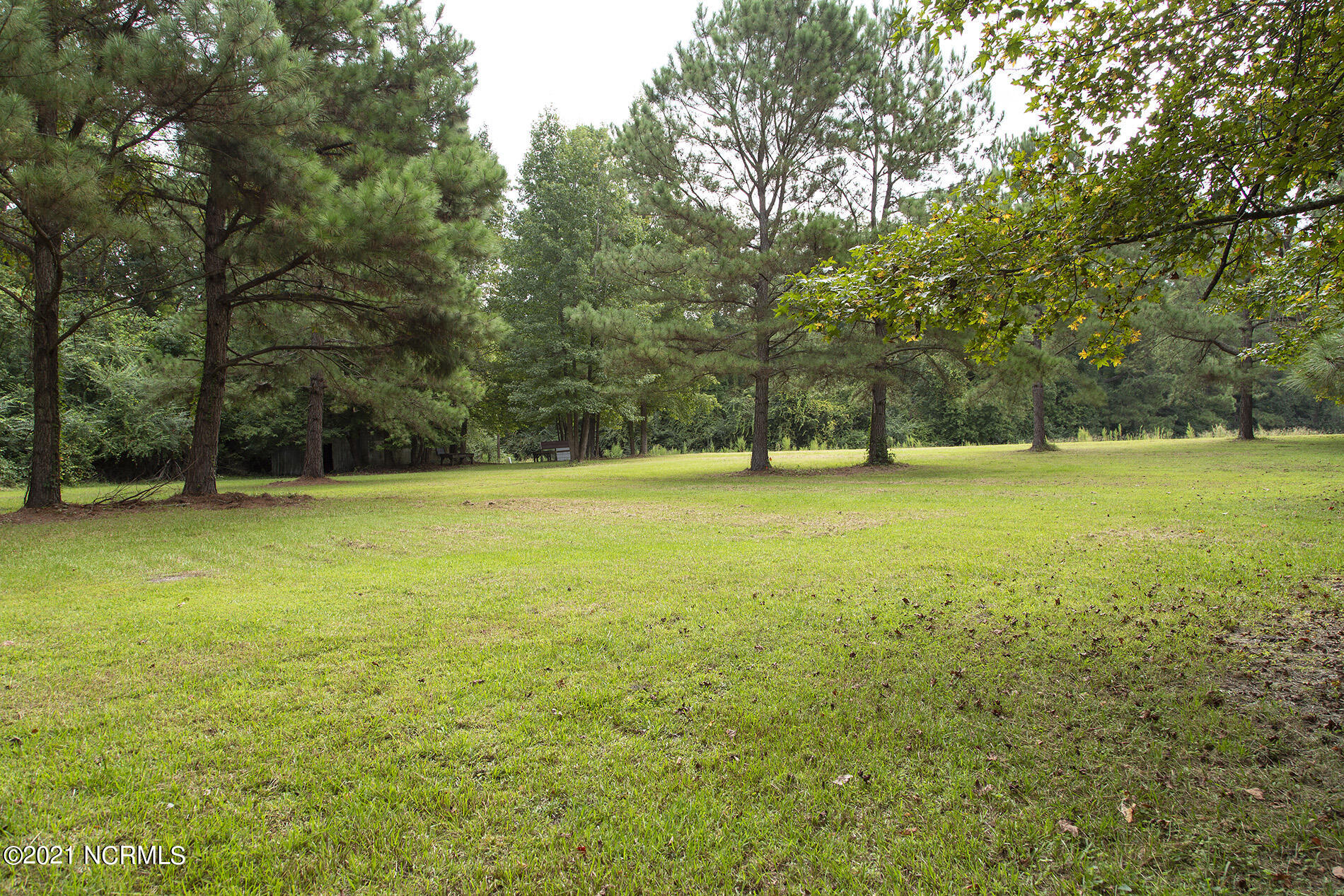 1171 Pope Road Watha, NC 28478 - Photo 60 of 67 Pope-1171-byard-BevL33A4002