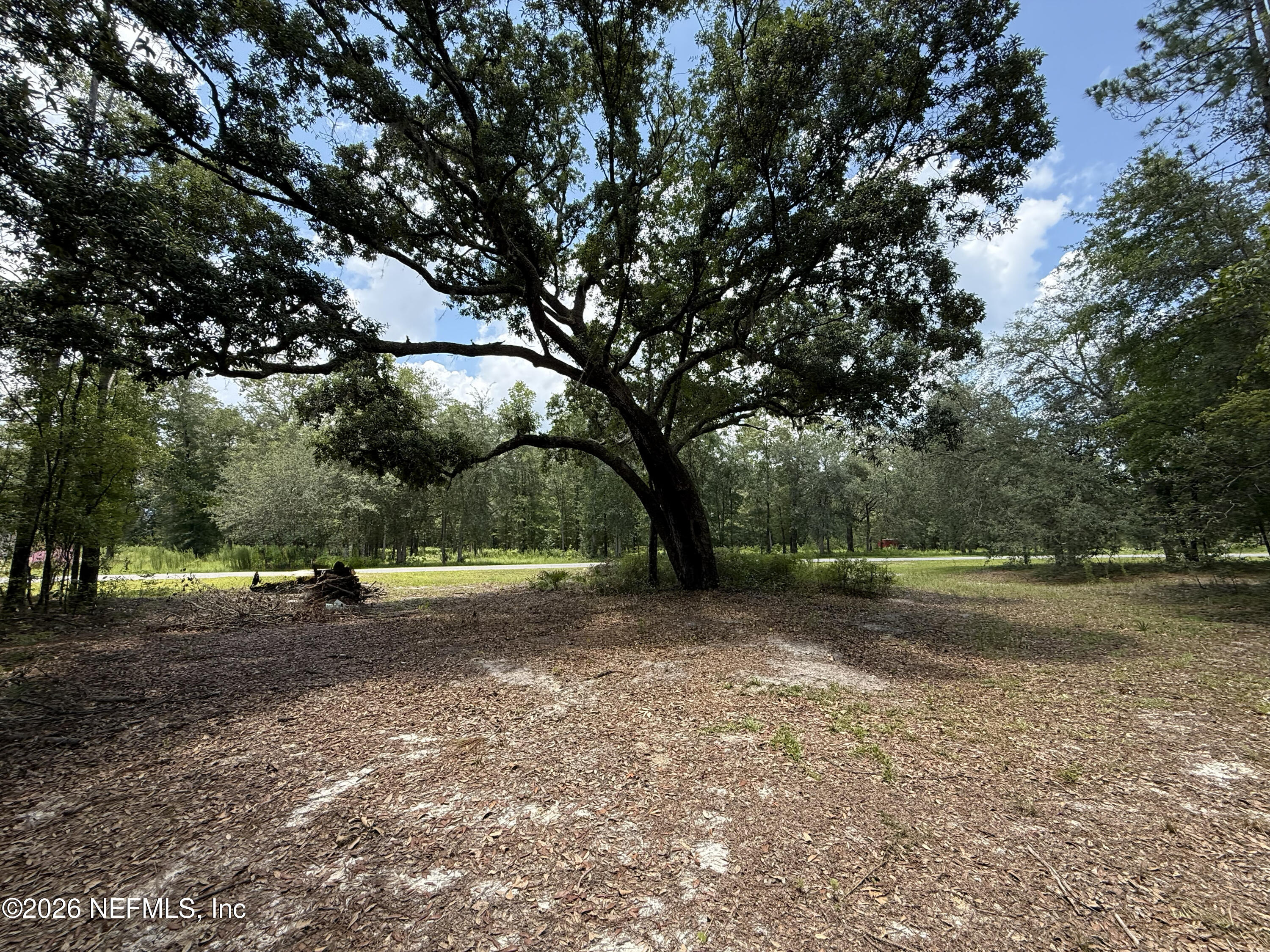 15422 Bullock Bluff Road Bryceville, FL 32009 - Photo 3 of 23 a view of a yard with a tree