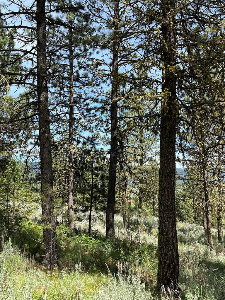 B22-l13 Vardon Road, Unit 13 New Meadows, ID 83654 - Photo 10 of 16